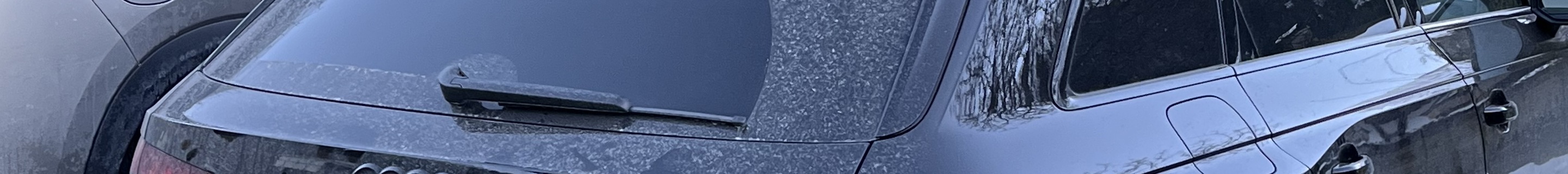 Audi RS4 Avant B9 2020