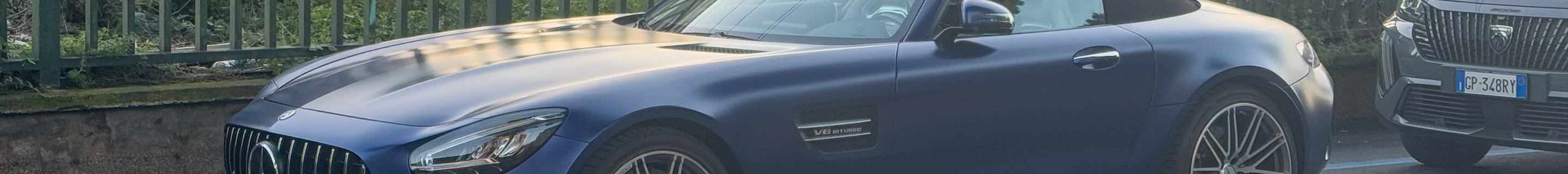 Mercedes-AMG GT C Roadster R190 2019
