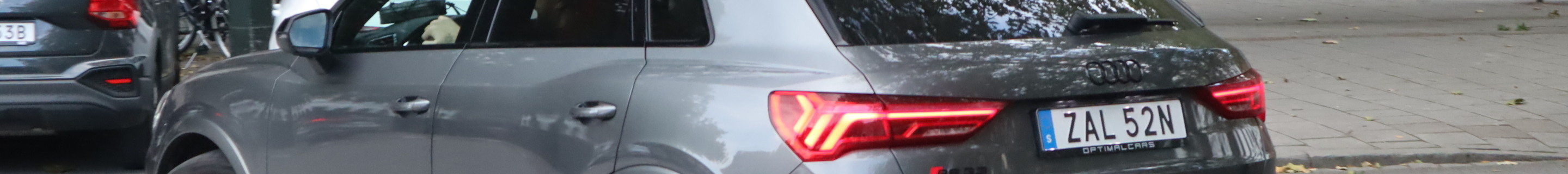 Audi RS Q3 2020