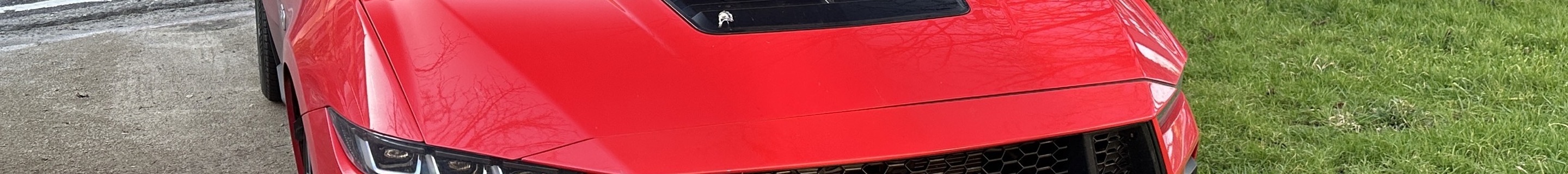 Ford Mustang GT Convertible 2024
