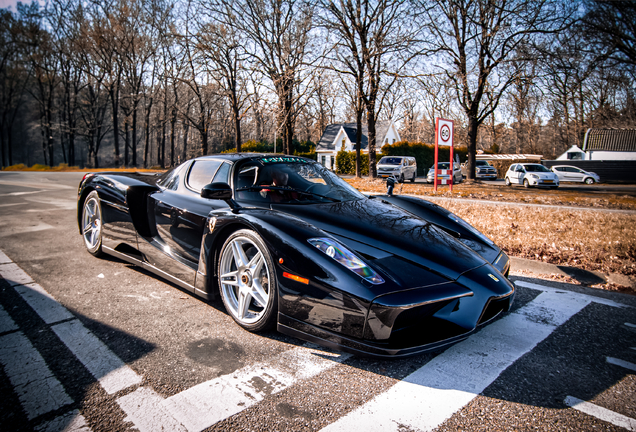 Ferrari Enzo Ferrari