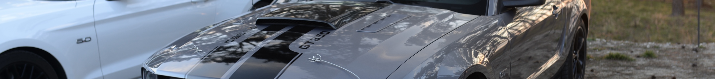 Ford Mustang GT