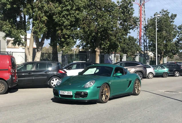 Porsche 987 Cayman S