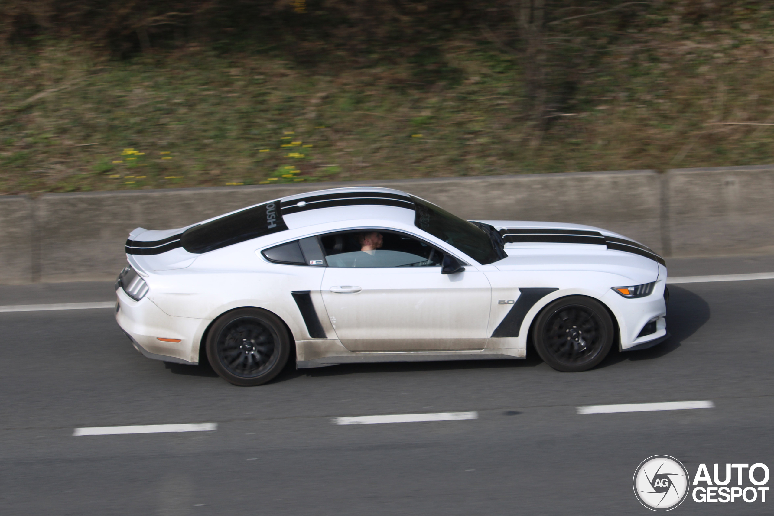 Ford Mustang Roush RS2 2015