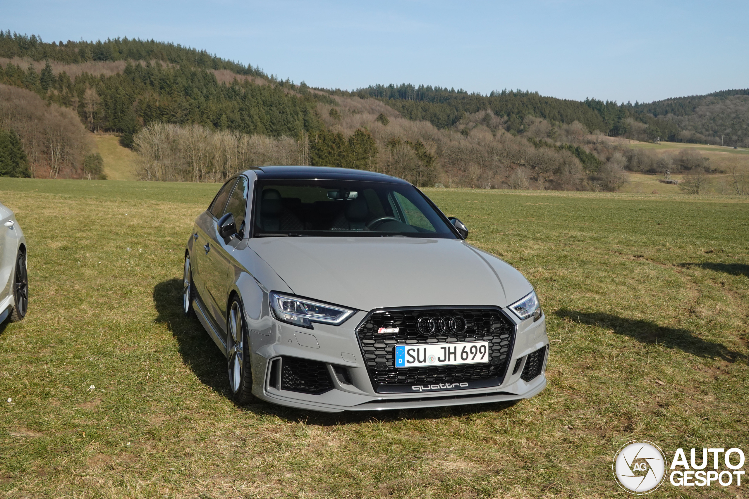 Audi RS3 Sedan 8V