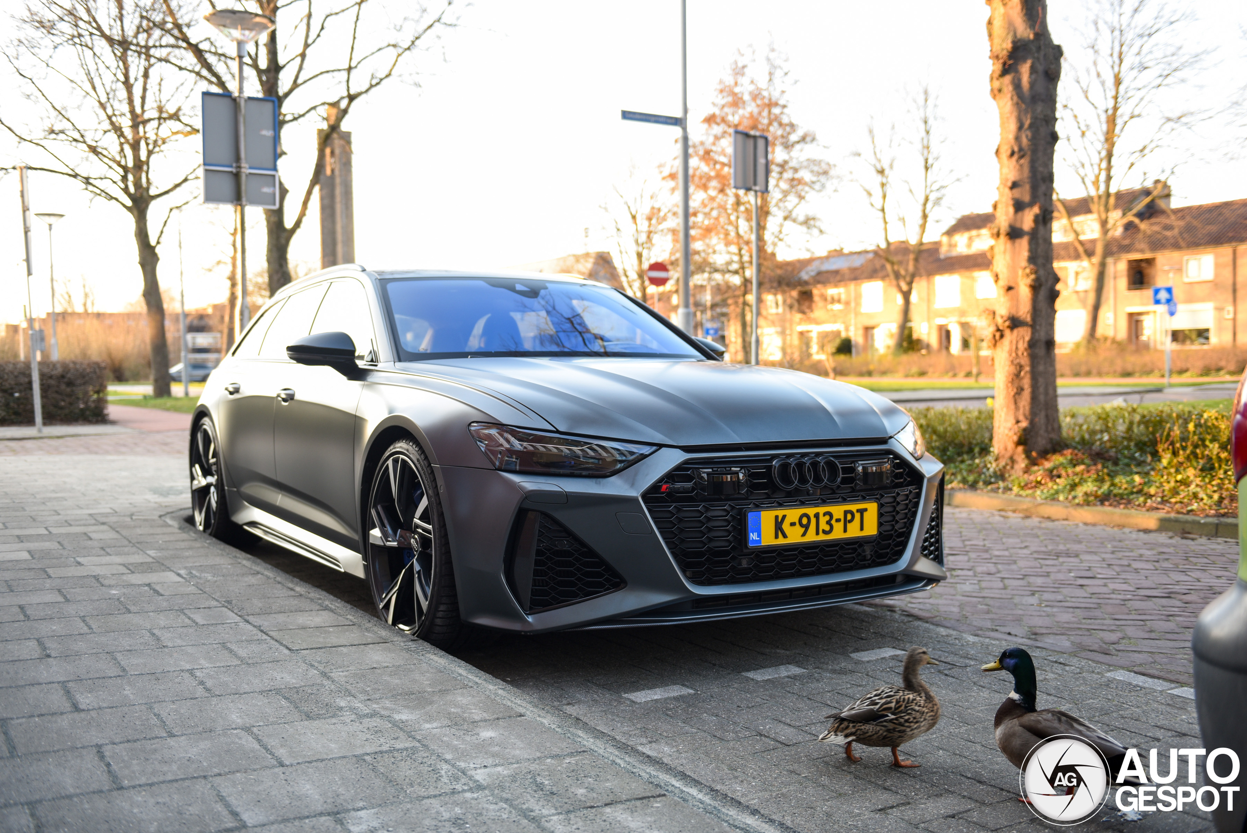 Audi RS6 Avant C8