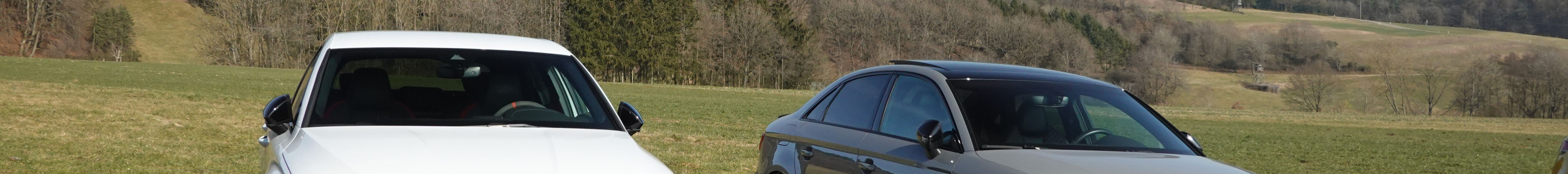 Audi RS3 Sportback 8Y
