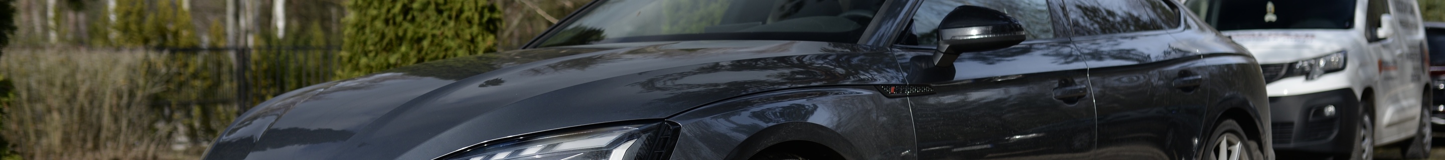 Audi RS5 Sportback B9 2021