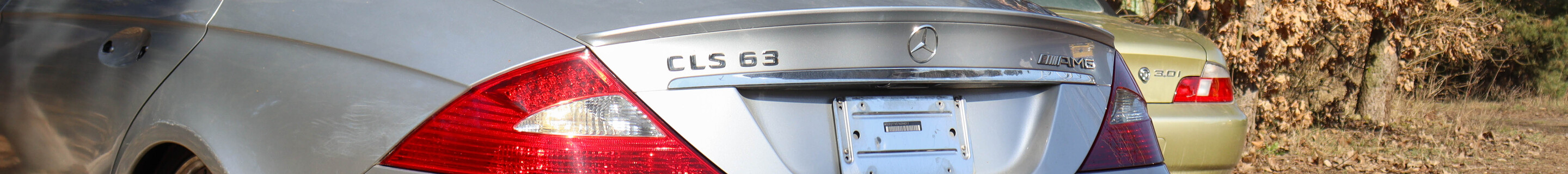 Mercedes-Benz CLS 63 AMG C219