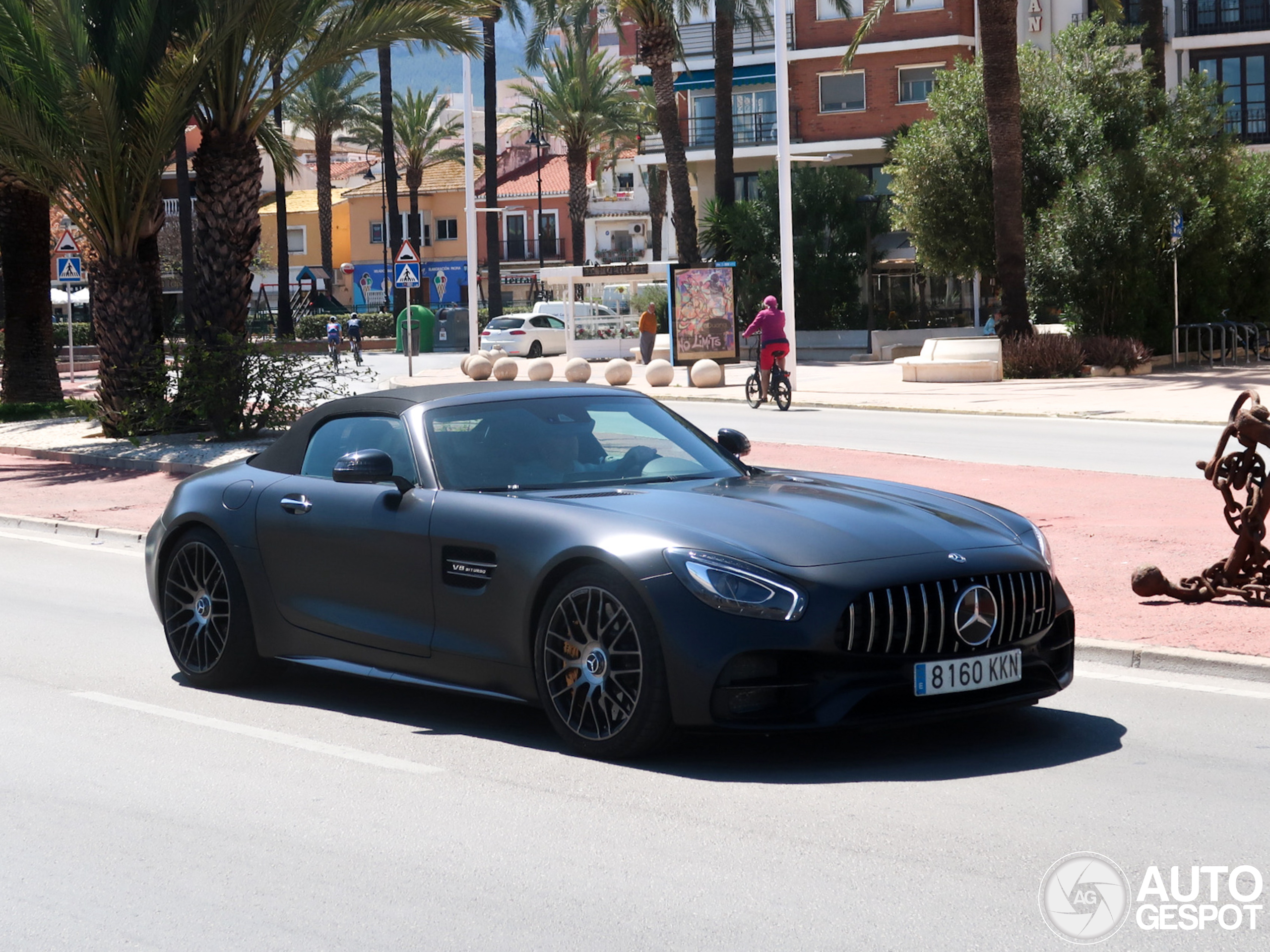 Mercedes-AMG GT C Roadster R190 Edition 50