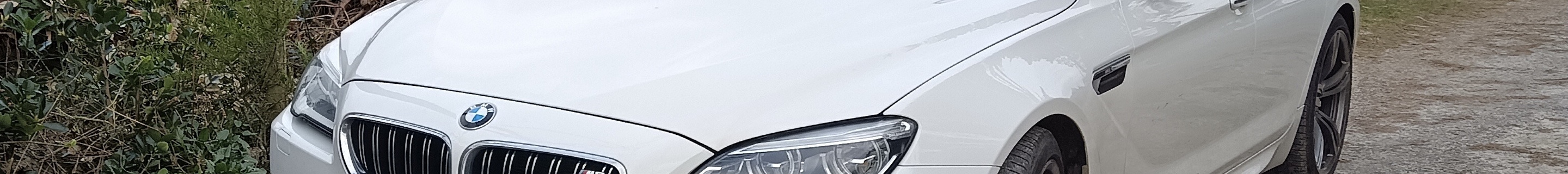 BMW M6 F06 Gran Coupé