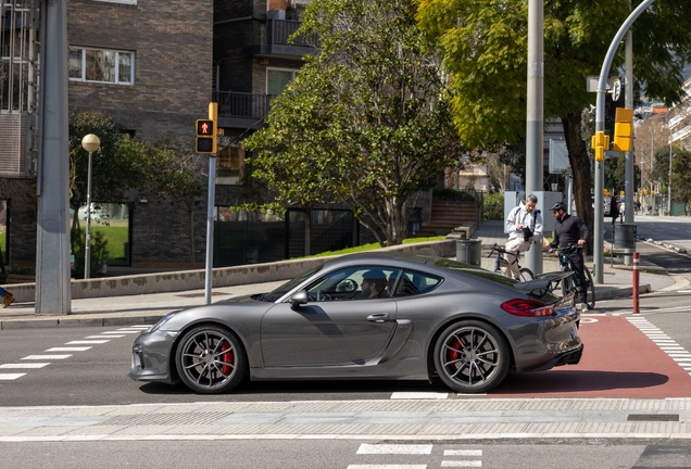 Porsche 981 Cayman GT4