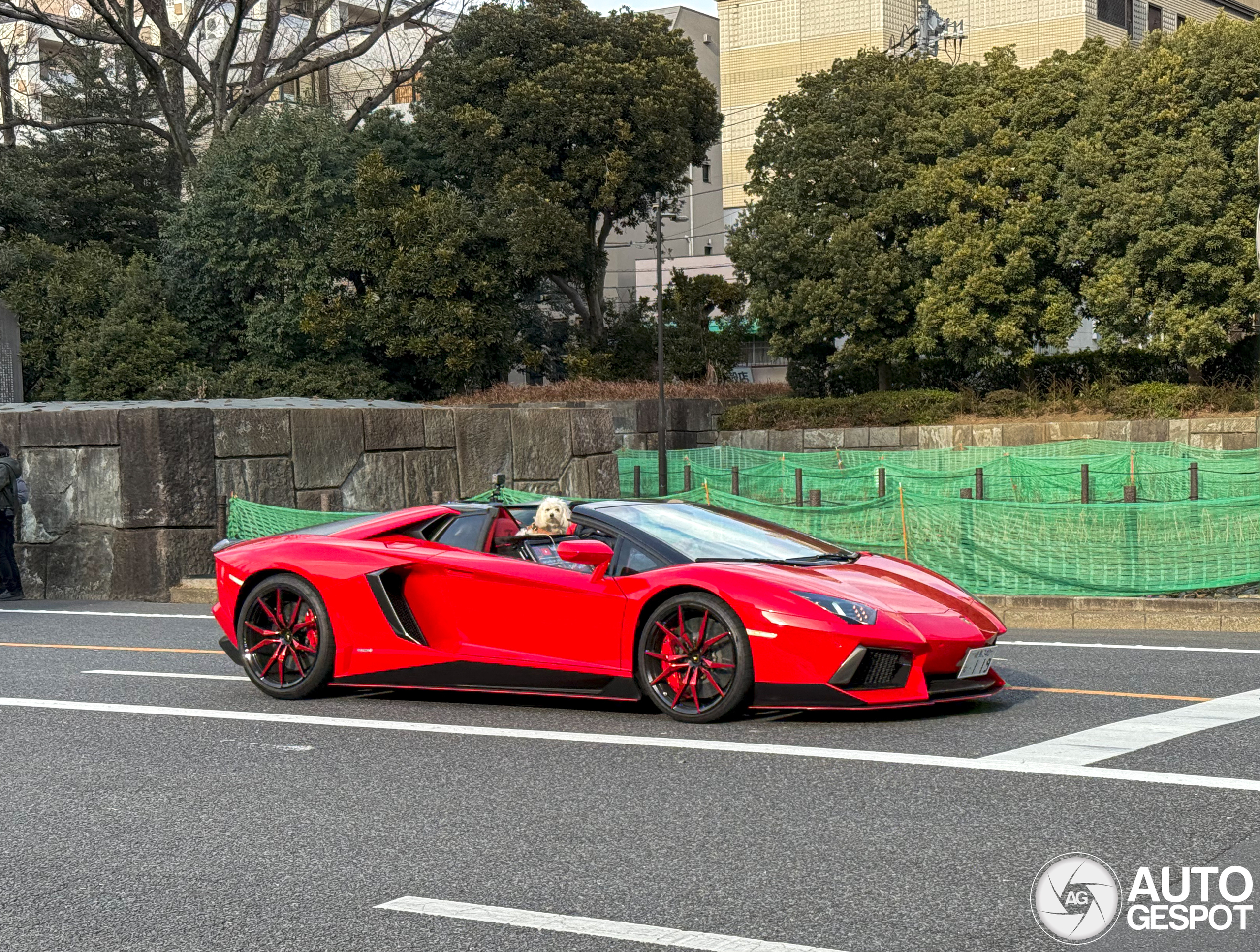 Lamborghini Aventador LP700-4 Roadster