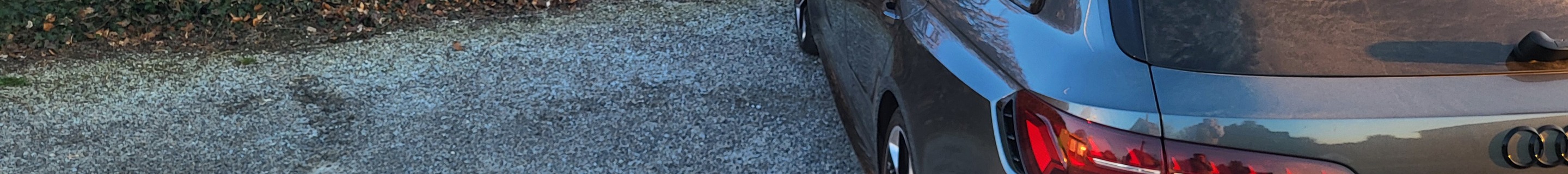 Audi RS4 Avant B9 2020