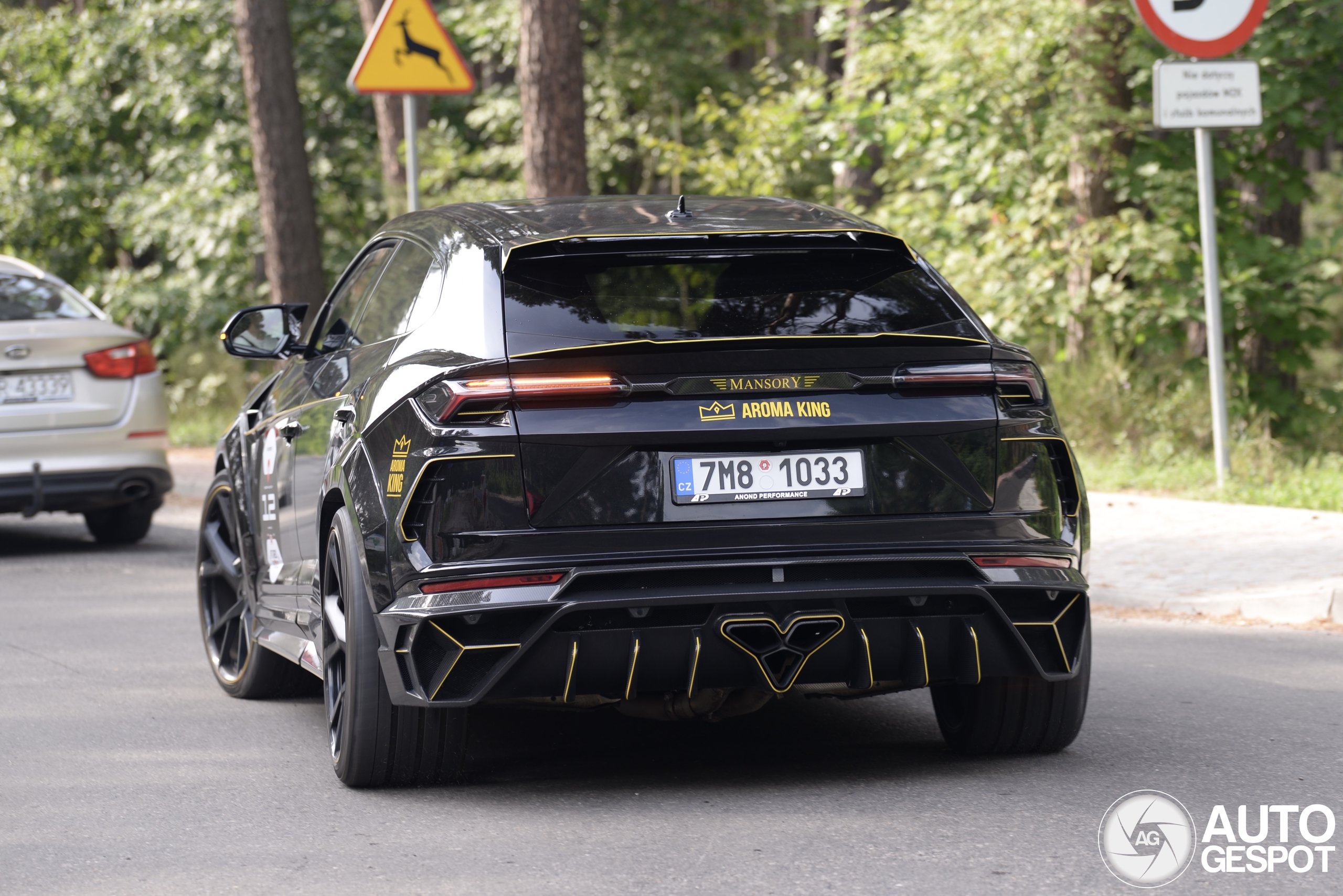 Lamborghini Urus Mansory Venatus