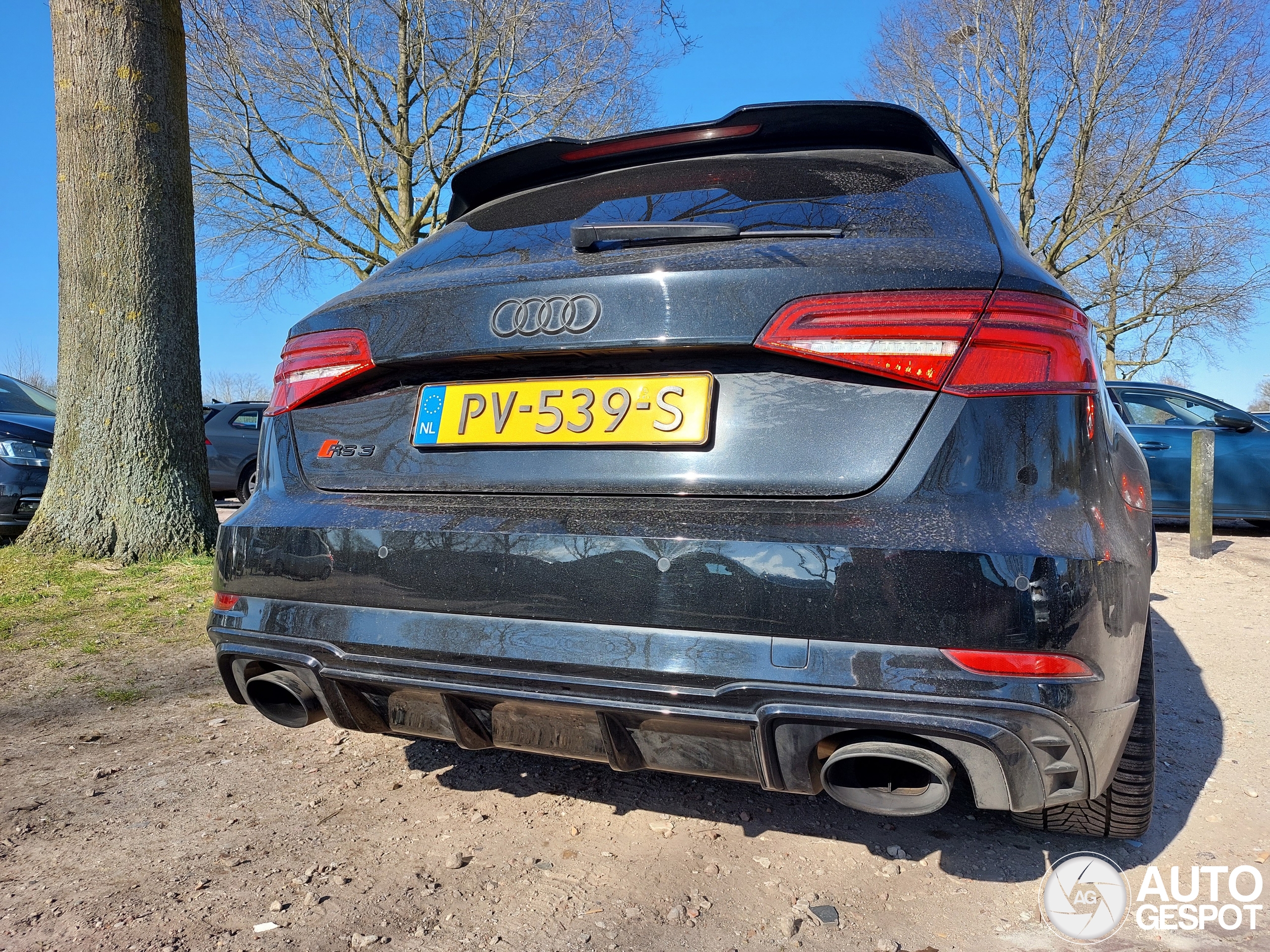 Audi RS3 Sportback 8V 2018