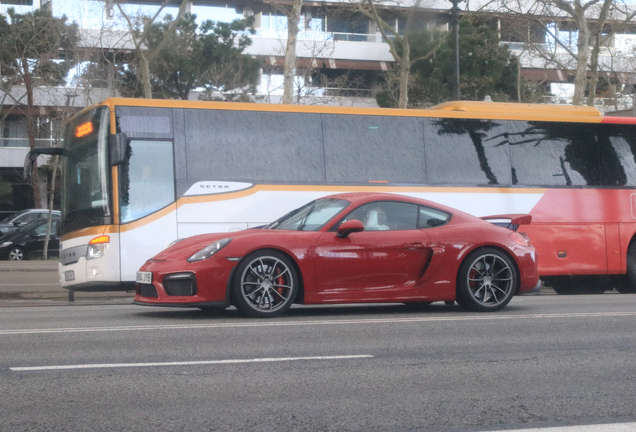 Porsche 981 Cayman GT4