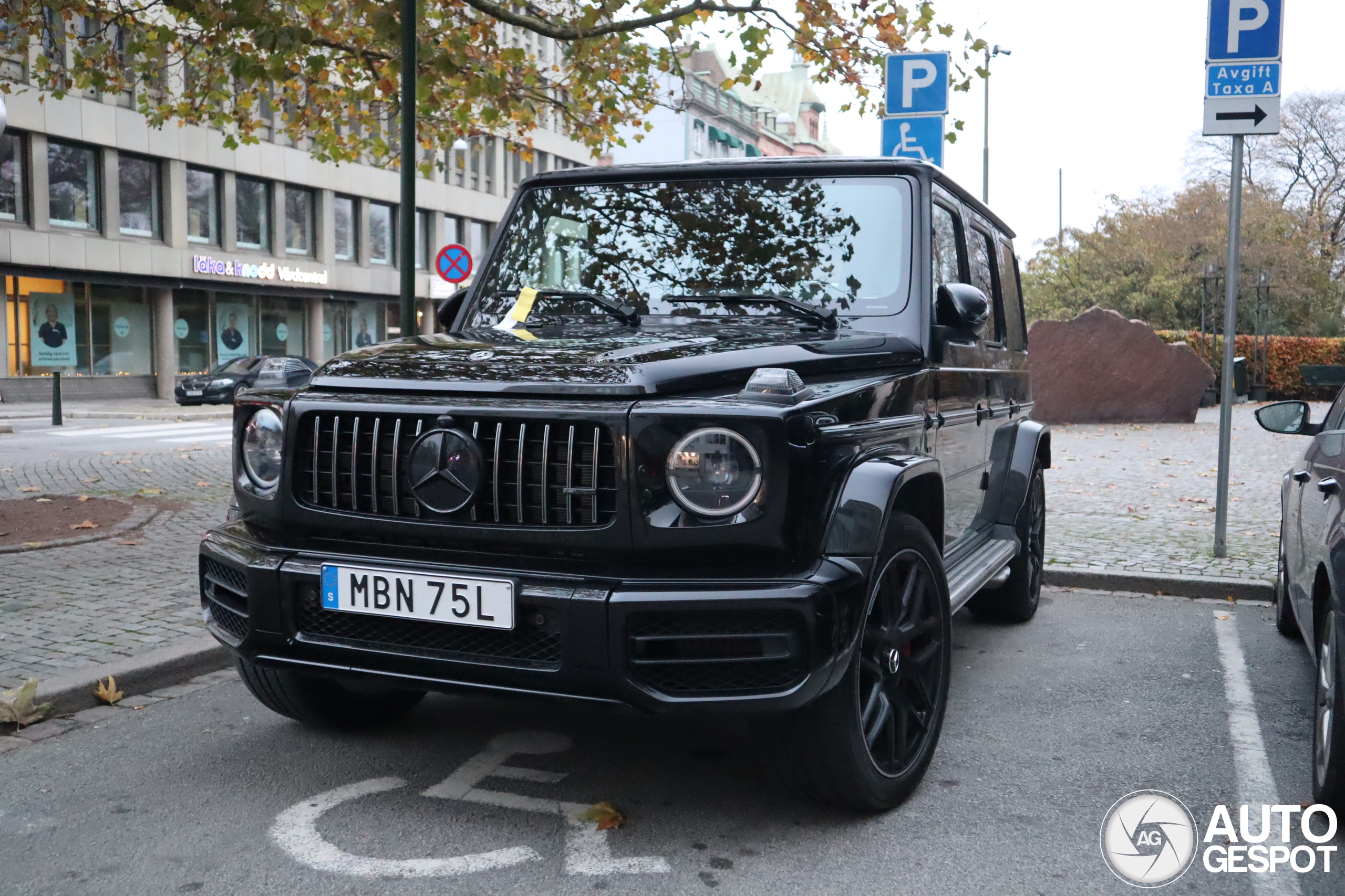 Mercedes-AMG G 63 W463 2018