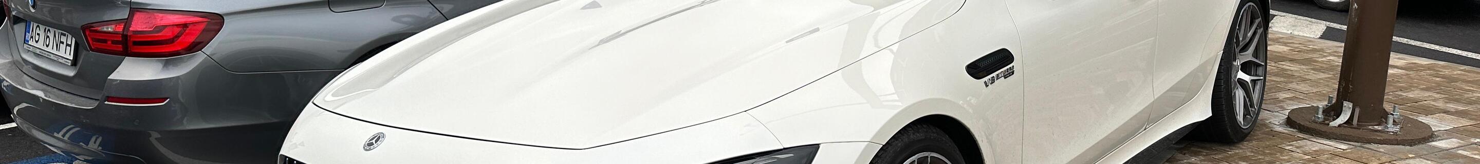 Mercedes-AMG GT 63 X290 2022