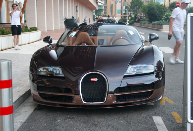 Bugatti Veyron 16.4 Grand Sport Vitesse Rembrandt Bugatti