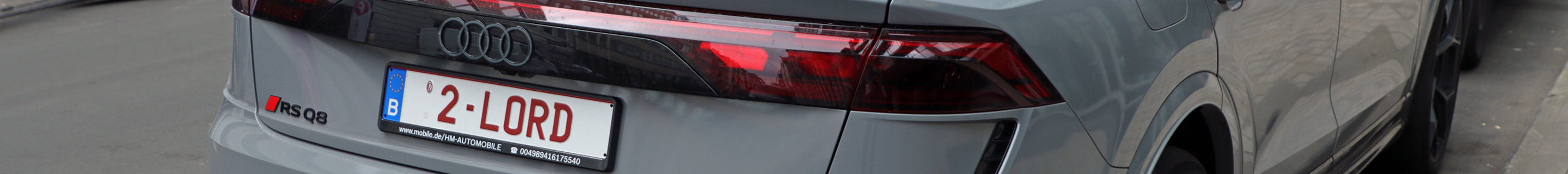 Audi RS Q8 2024