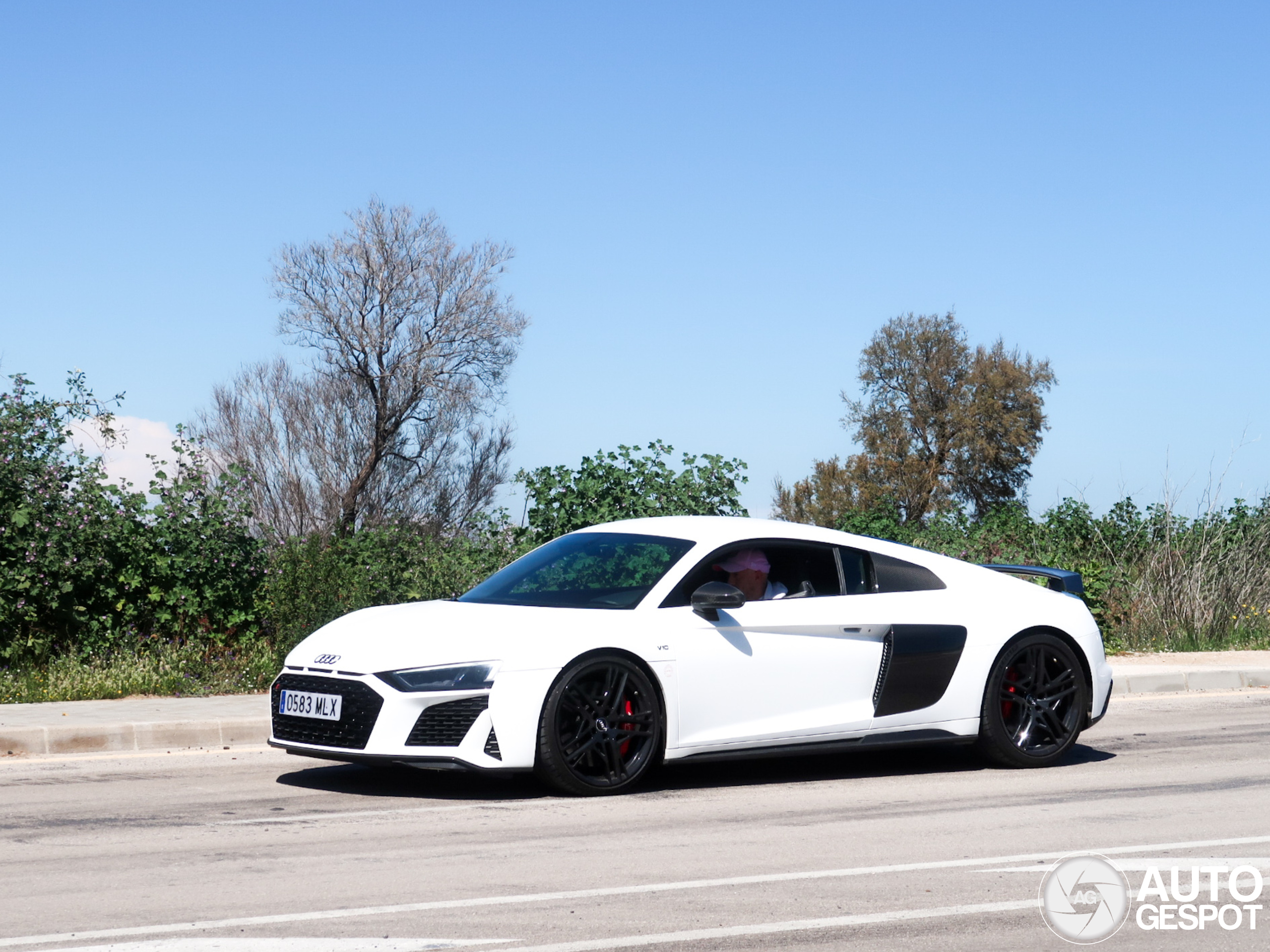 Audi R8 V10 Performance 2019
