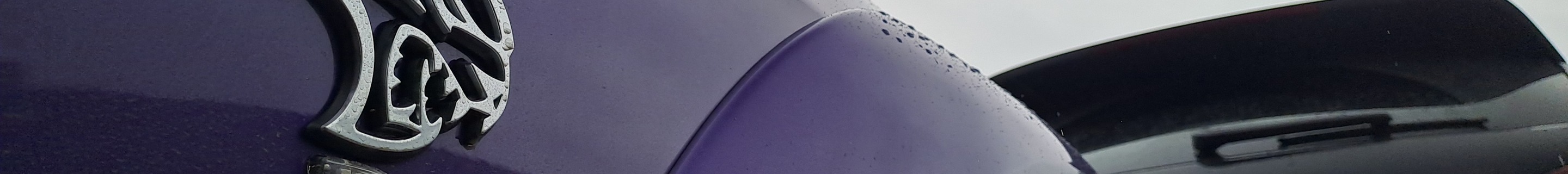 Dodge Challenger SRT Hellcat Widebody