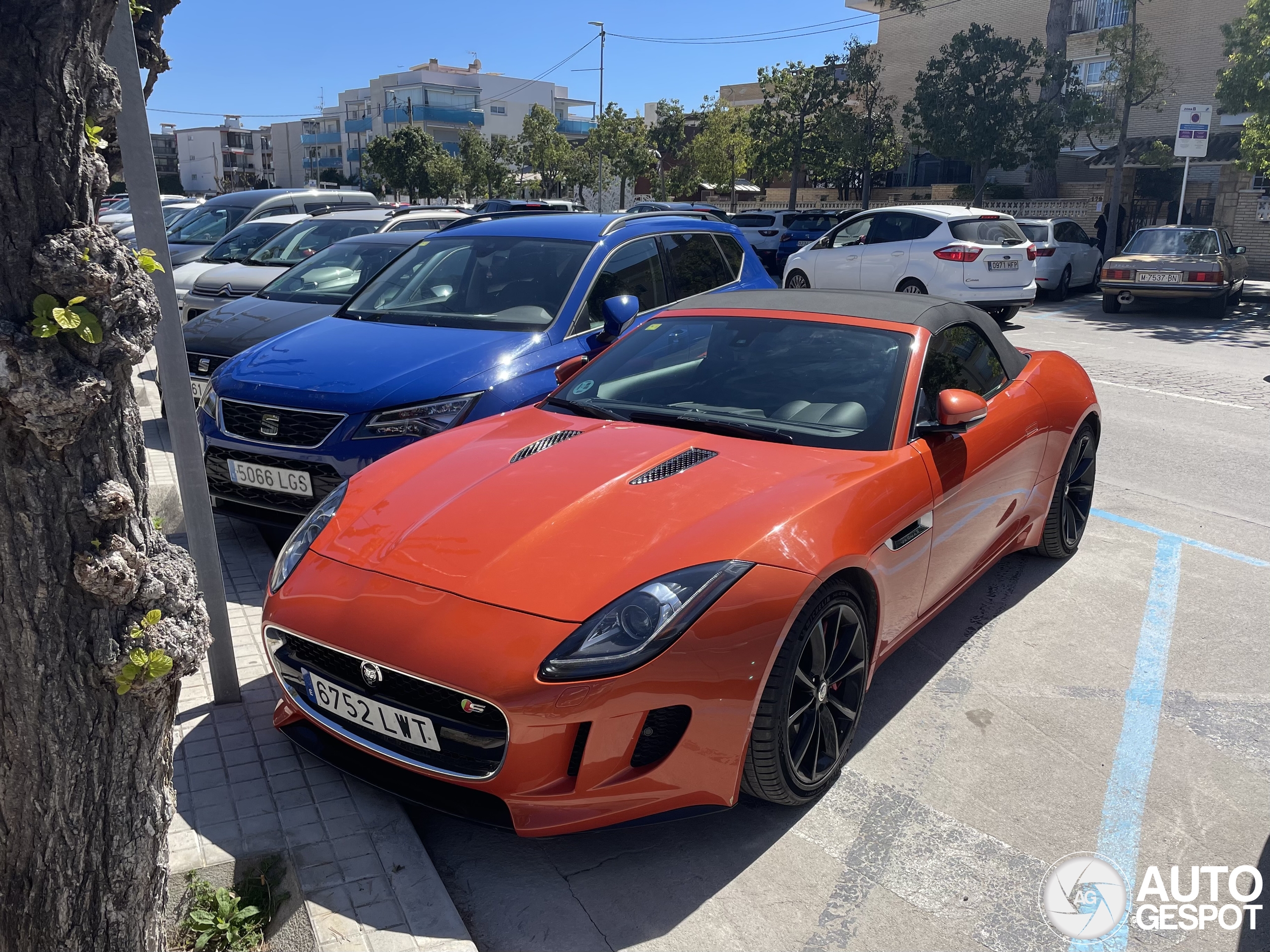 Jaguar F-TYPE S Convertible