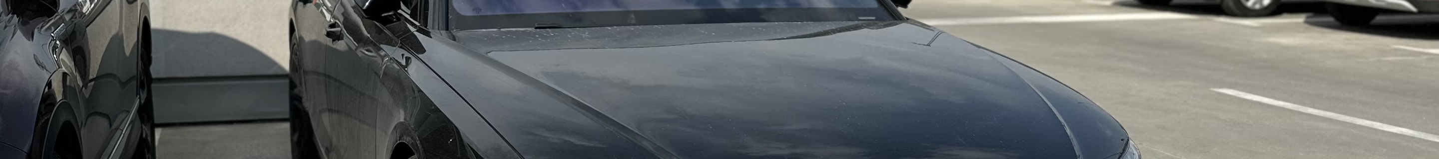 Audi S8 D5 2022