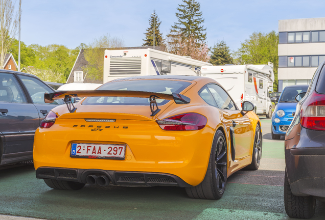 Porsche 981 Cayman GT4