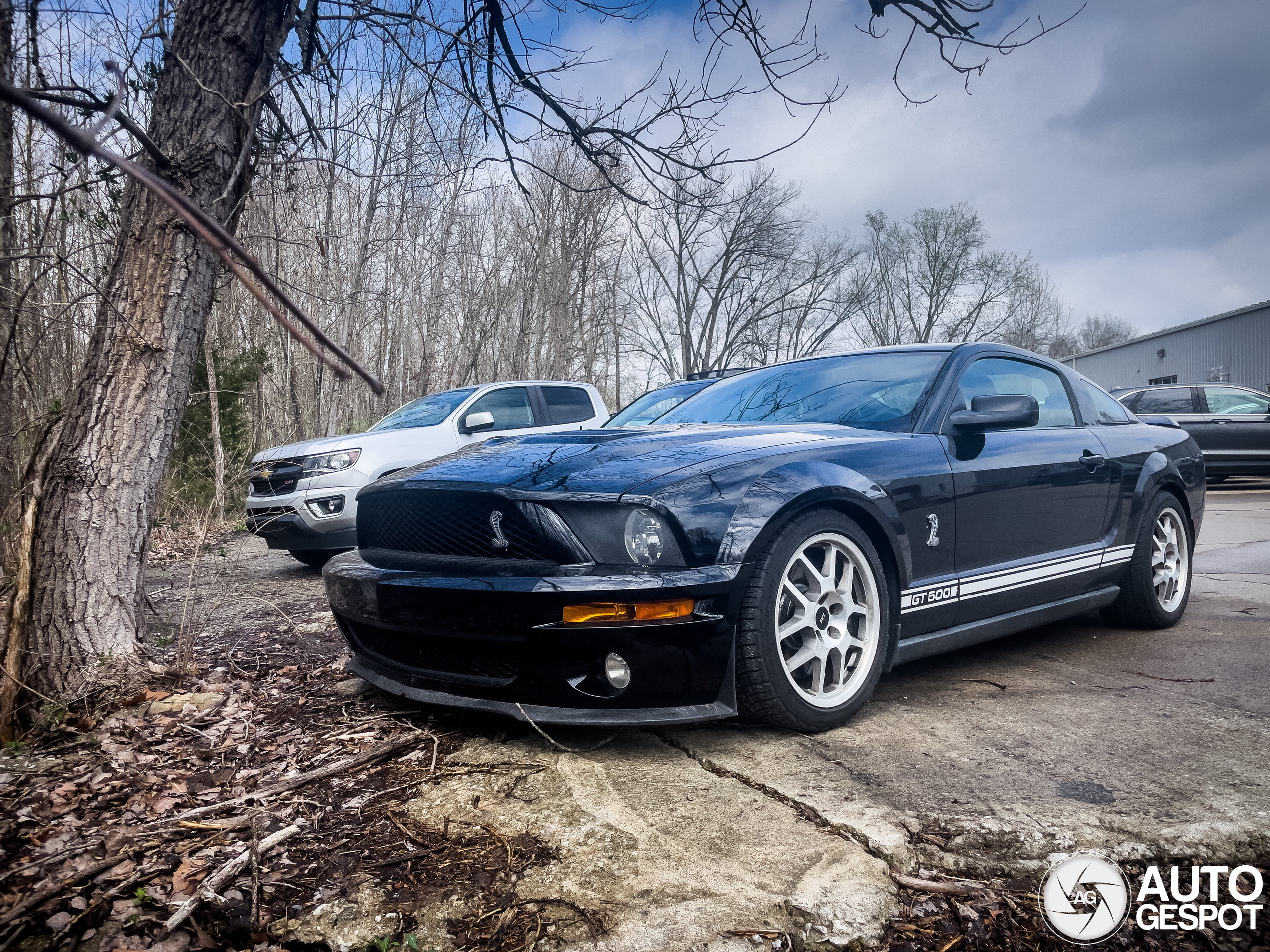 Ford Mustang Shelby GT500