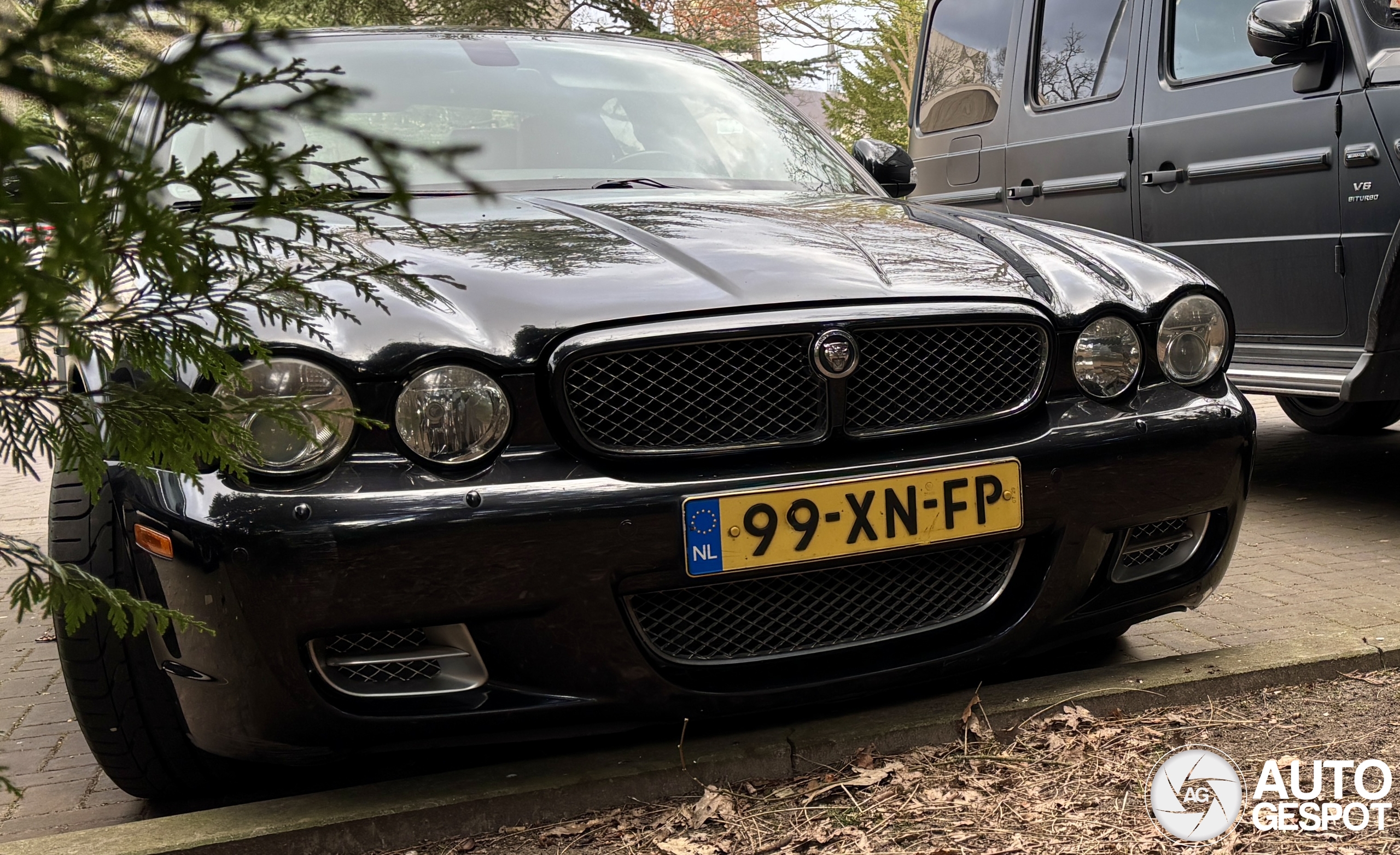 Jaguar XJR