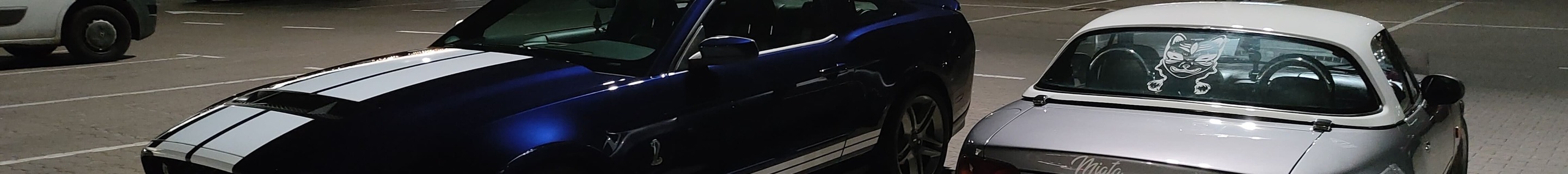 Ford Mustang Shelby GT500 2010