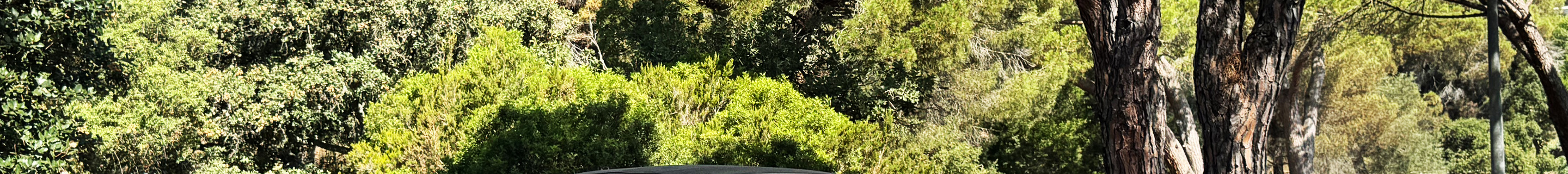 Lamborghini Huracán LP640-4 EVO Spyder