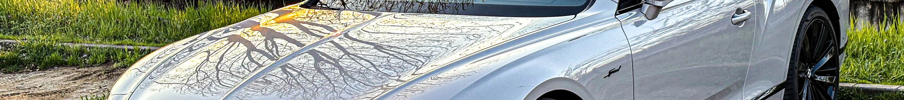 Bentley Continental GT Speed 2025