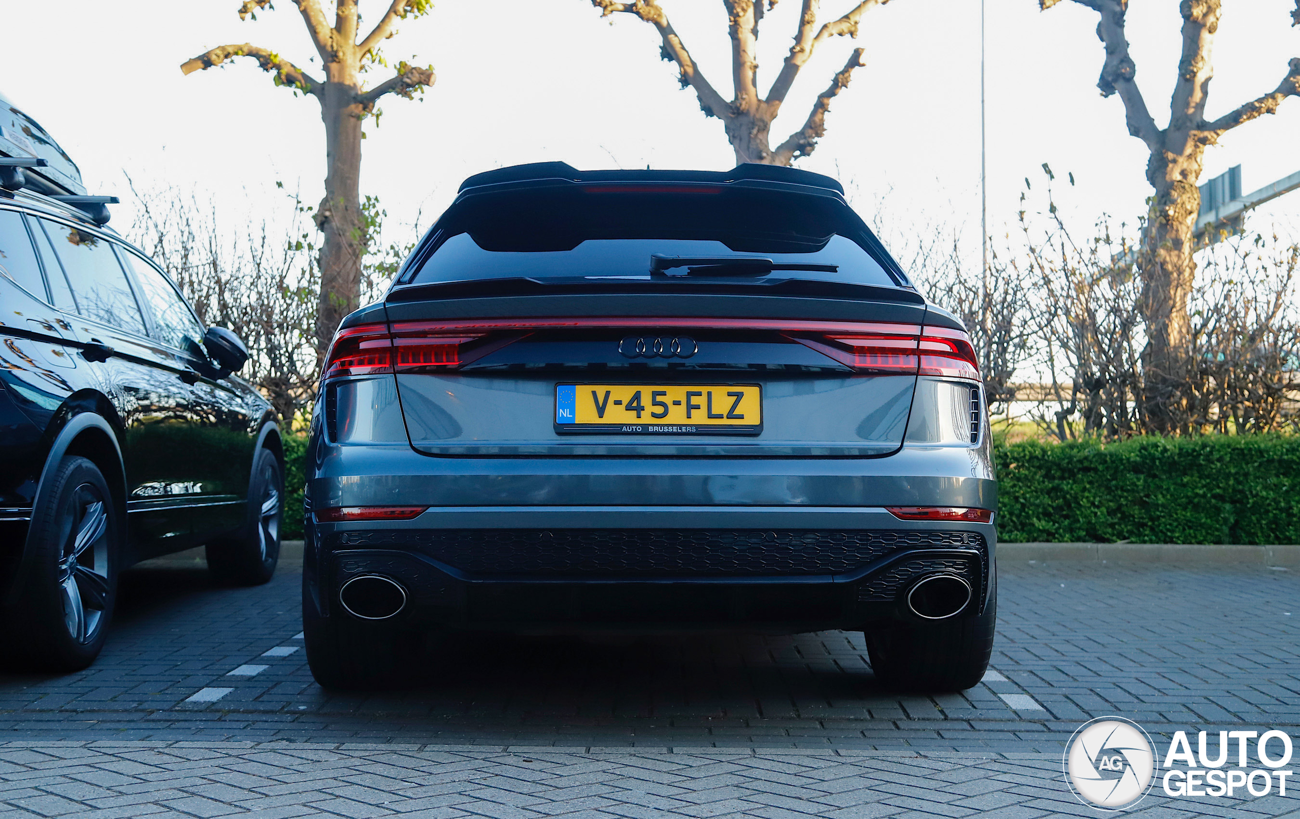 Audi RS Q8