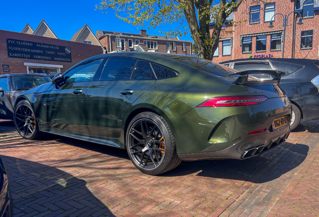 Mercedes-AMG GT 63 S E-Performance X290 2024