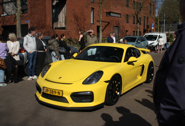 Porsche 981 Cayman GT4