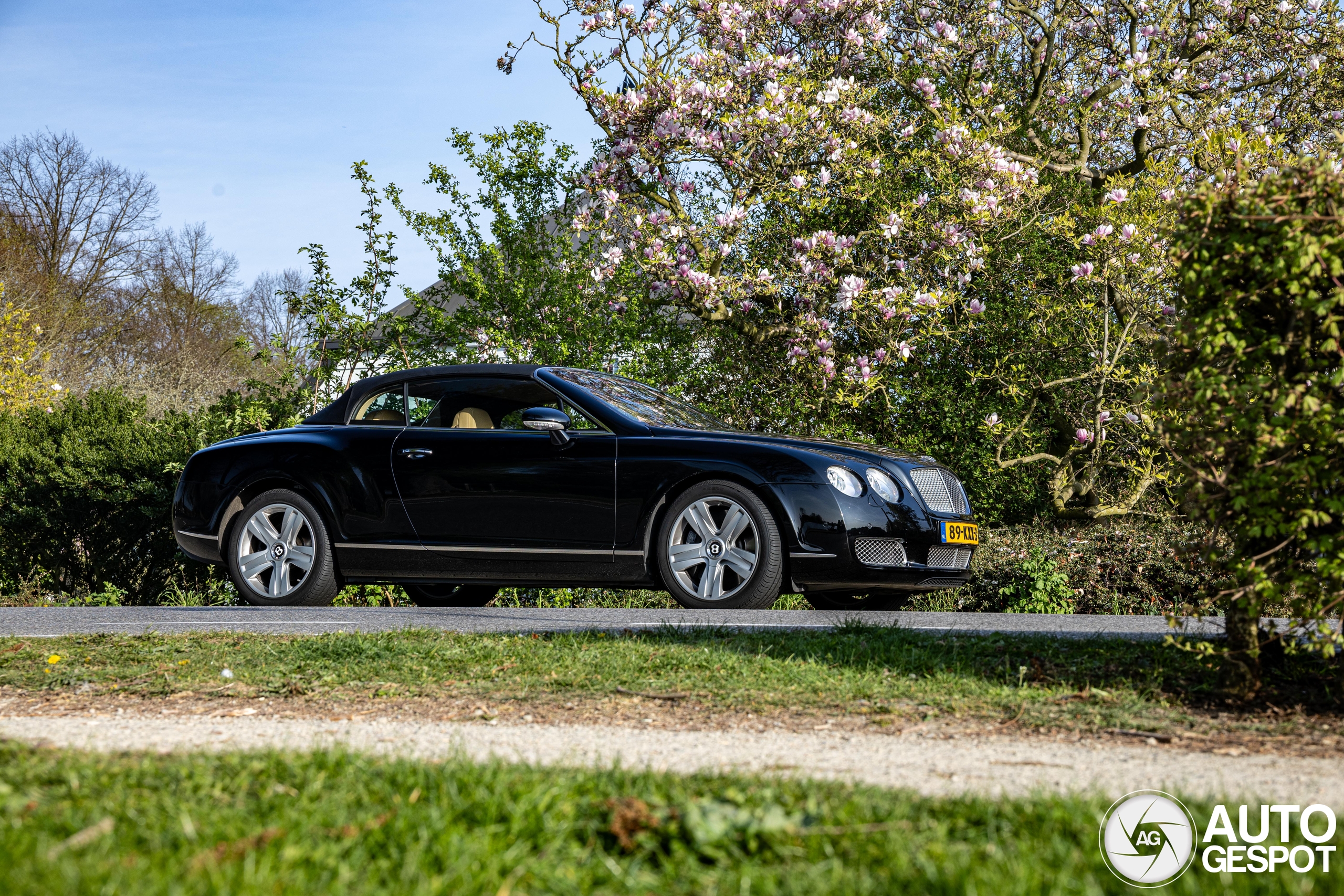 Bentley Continental GTC