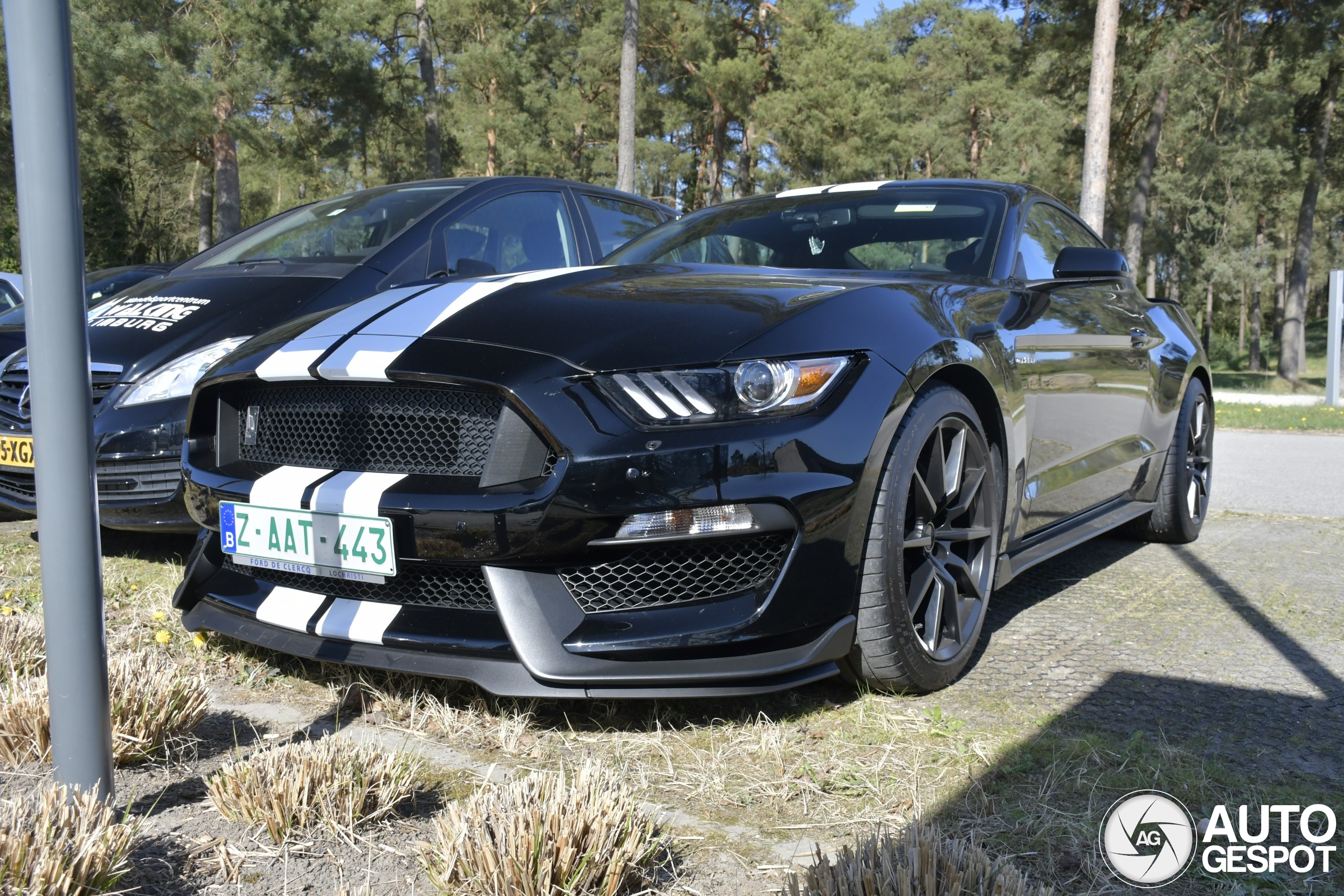 Ford Mustang Shelby GT350 2015