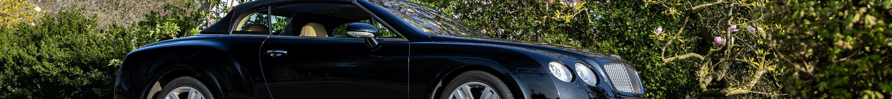 Bentley Continental GTC