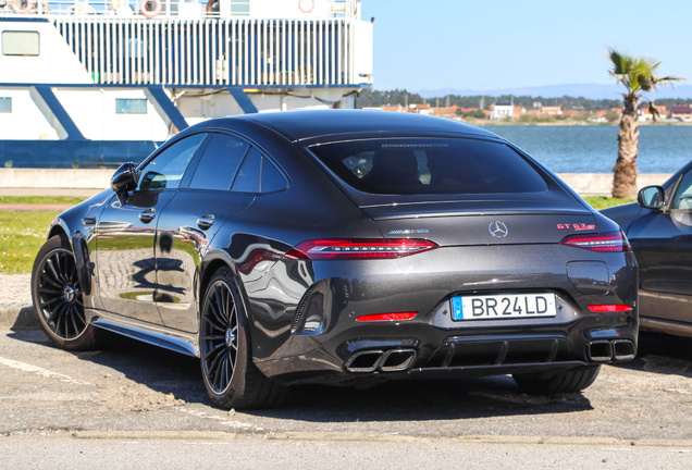 Mercedes-AMG GT 63 S E-Performance X290 2024