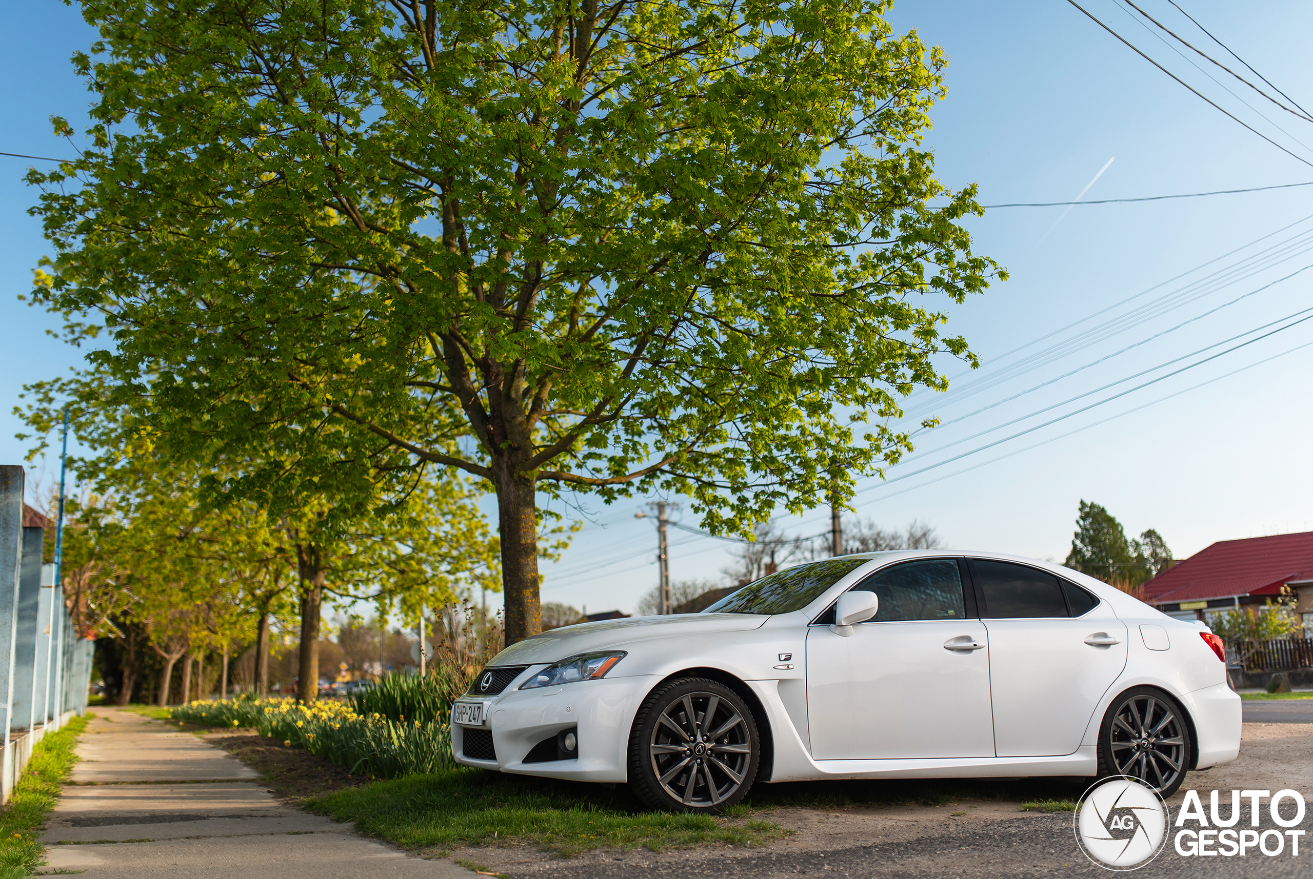 Lexus IS-F