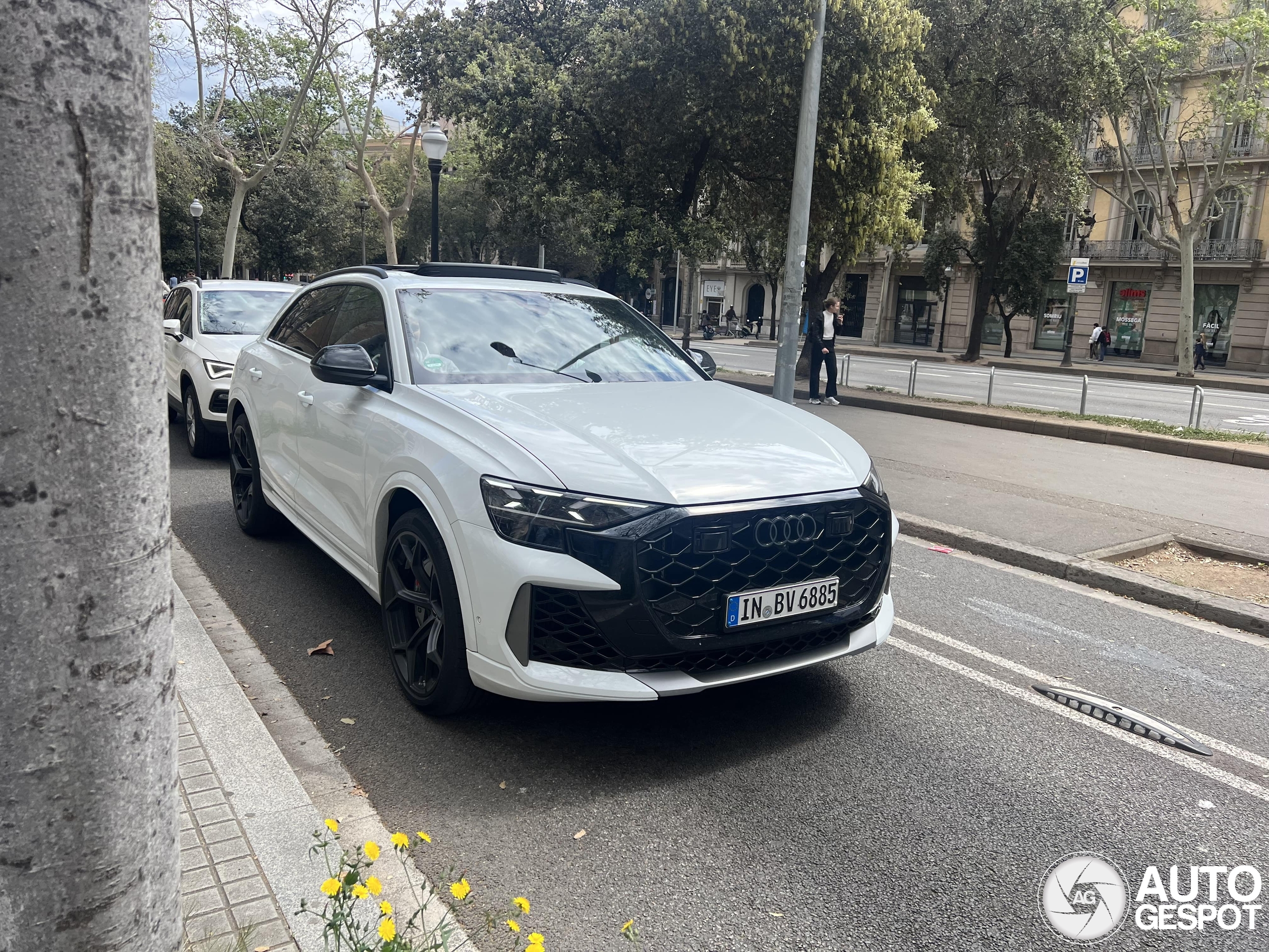 Audi RS Q8 2024