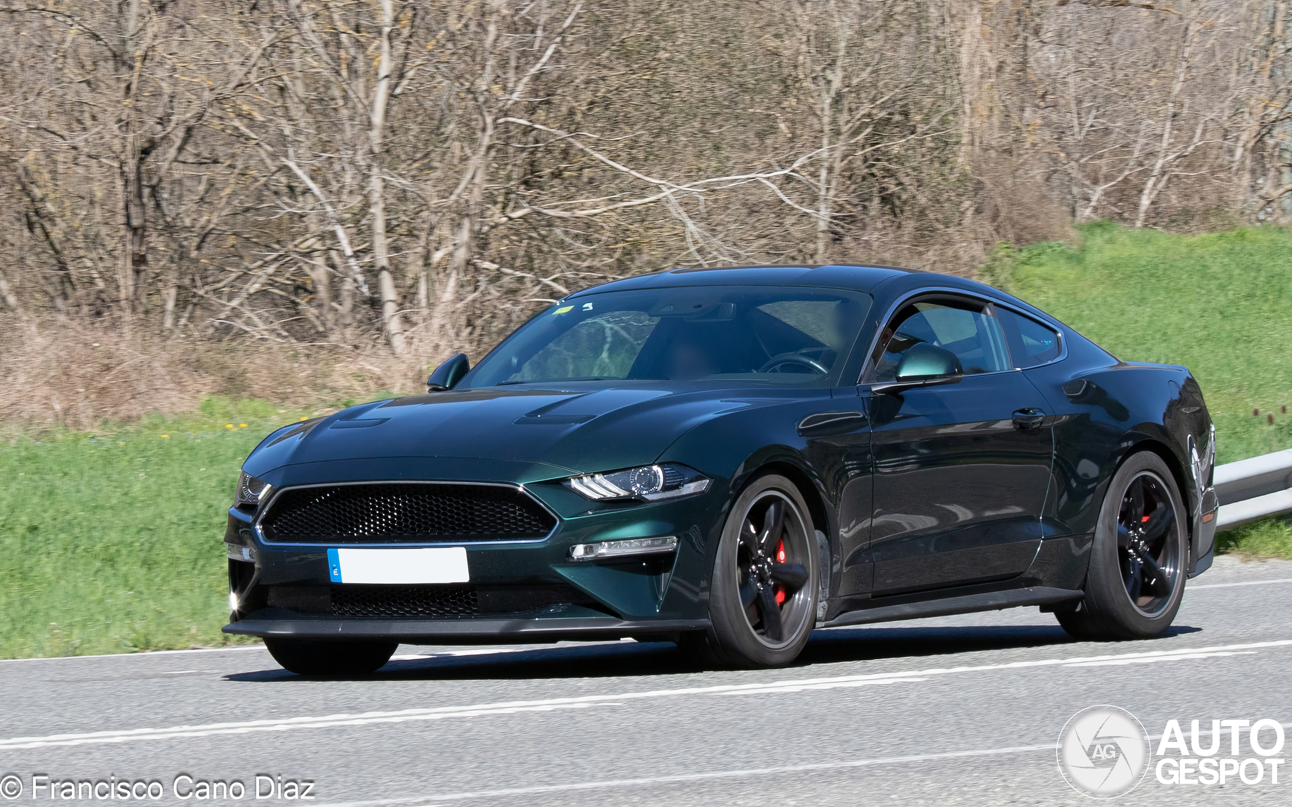 Ford Mustang Bullitt 2019