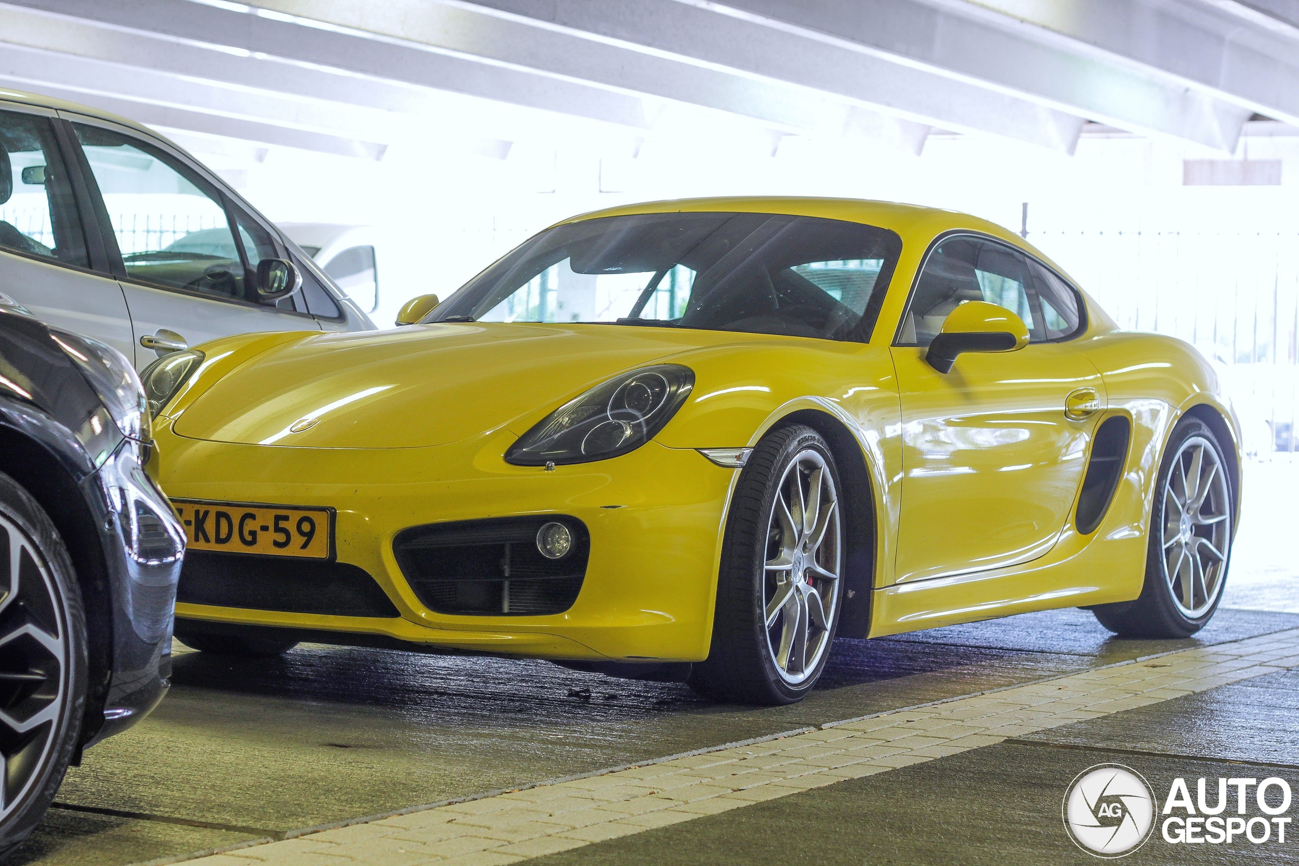 Porsche 981 Cayman S