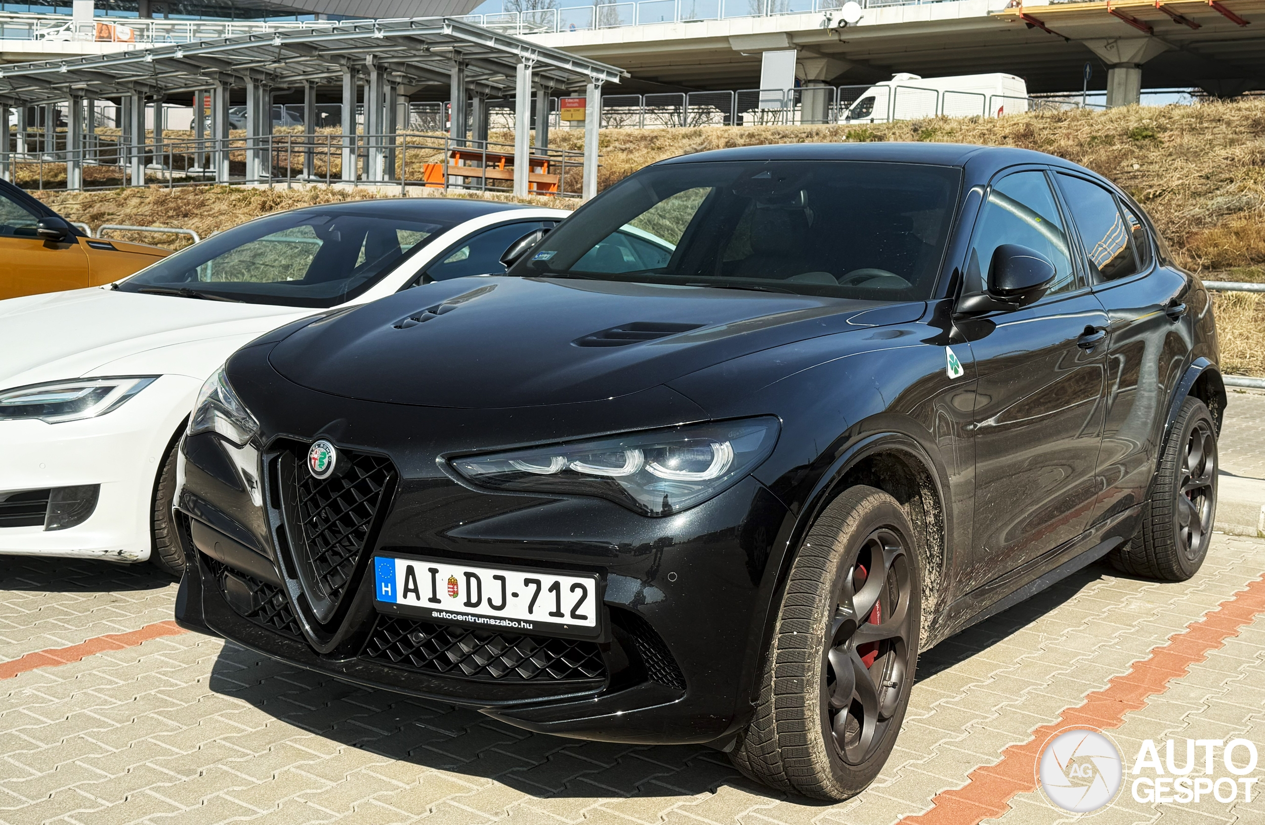 Alfa Romeo Stelvio Quadrifoglio 2023