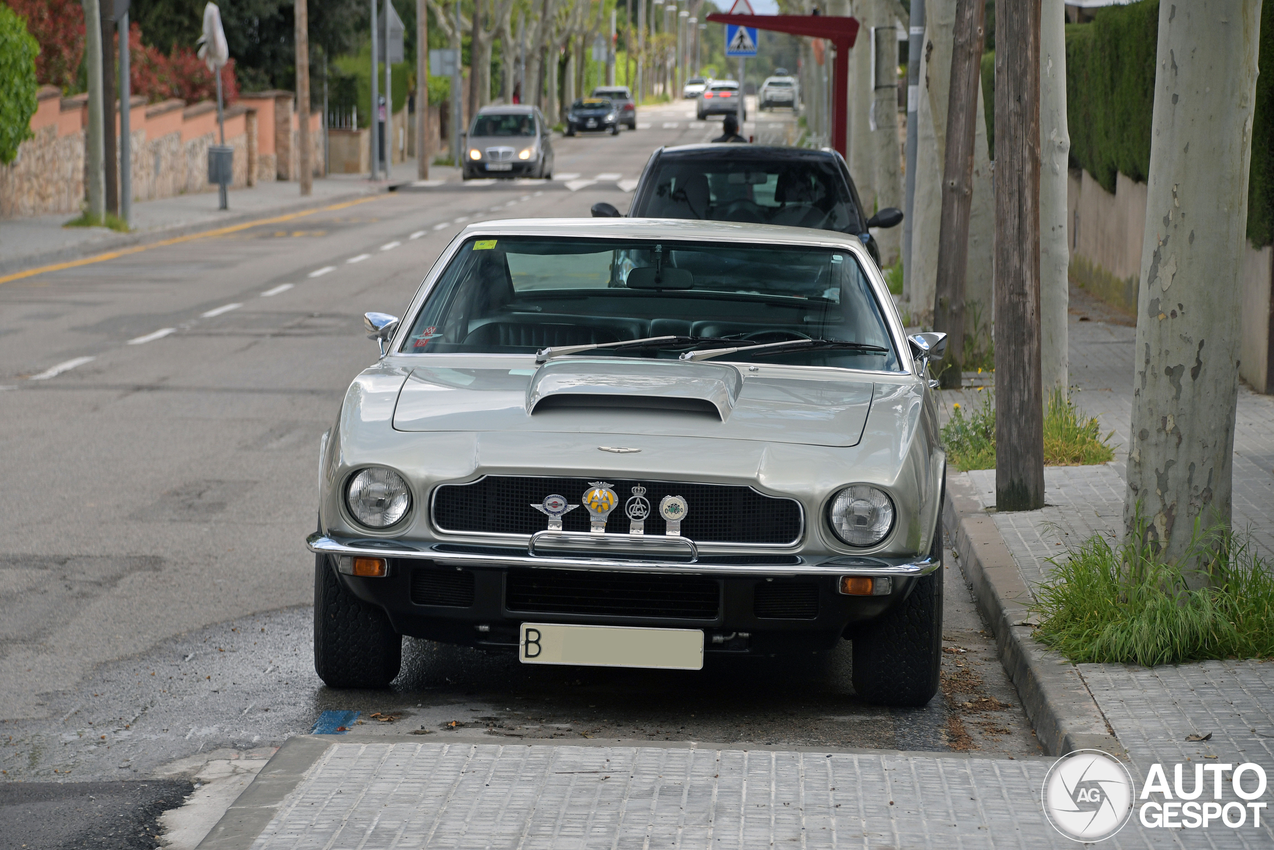 Aston Martin V8 1972-1987
