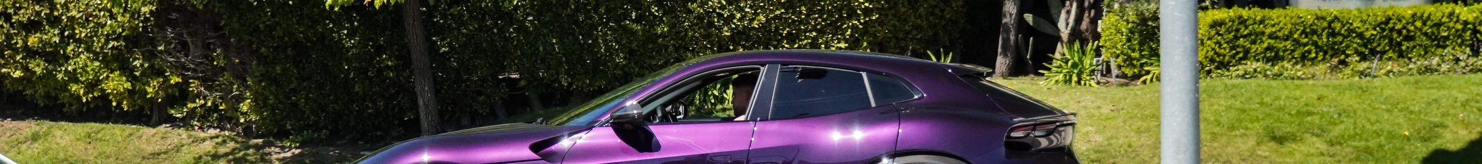 Ferrari Purosangue