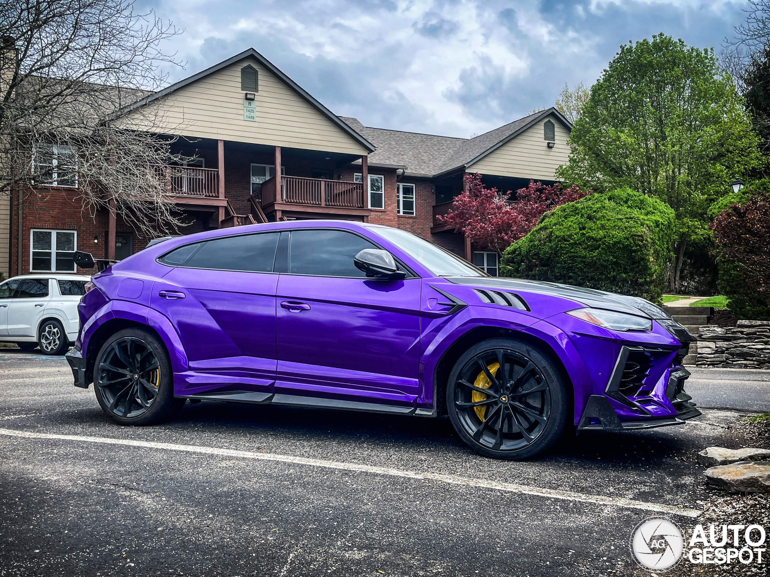 Lamborghini Urus Mansory Venatus